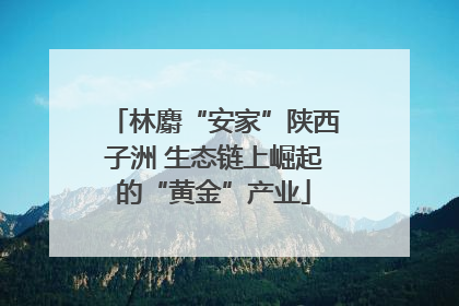 林麝“安家”陕西子洲 生态链上崛起的“黄金”产业